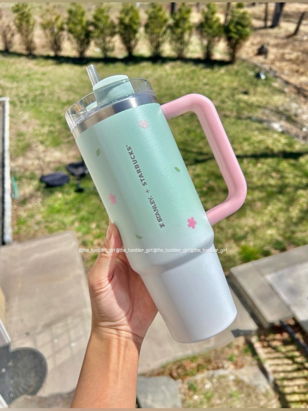 Stanley x Starbucks Pink Green Sakura Tumbler Dreamy Spring Taiwan Sakura 2026